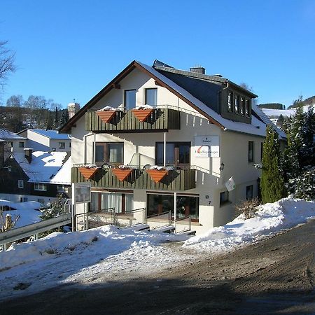 Aktivpension Regenbogen Willingen  Extérieur photo