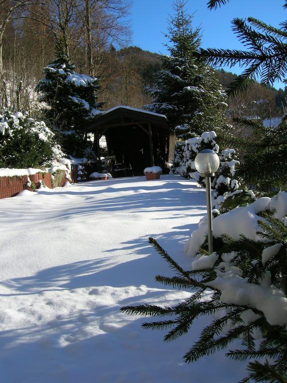 Aktivpension Regenbogen Willingen  Extérieur photo